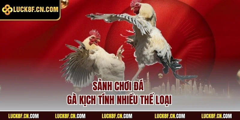 Sảnh chơi đá gà kịch tính nhiều thể loại